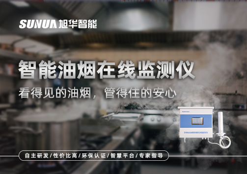 智能油烟在线监测仪：看得见的油烟，管得住的安心